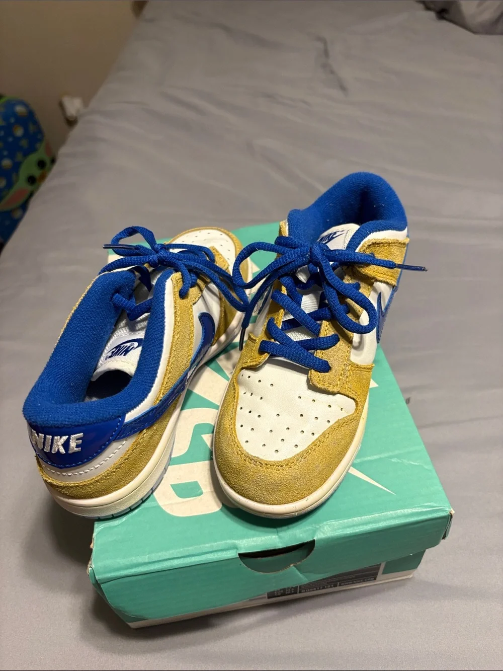 Nike sb zoom